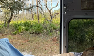 Camping near Starkey Wilderness Preserve — Serenova Tract: Serenova Tract Campsites, Odessa, Florida