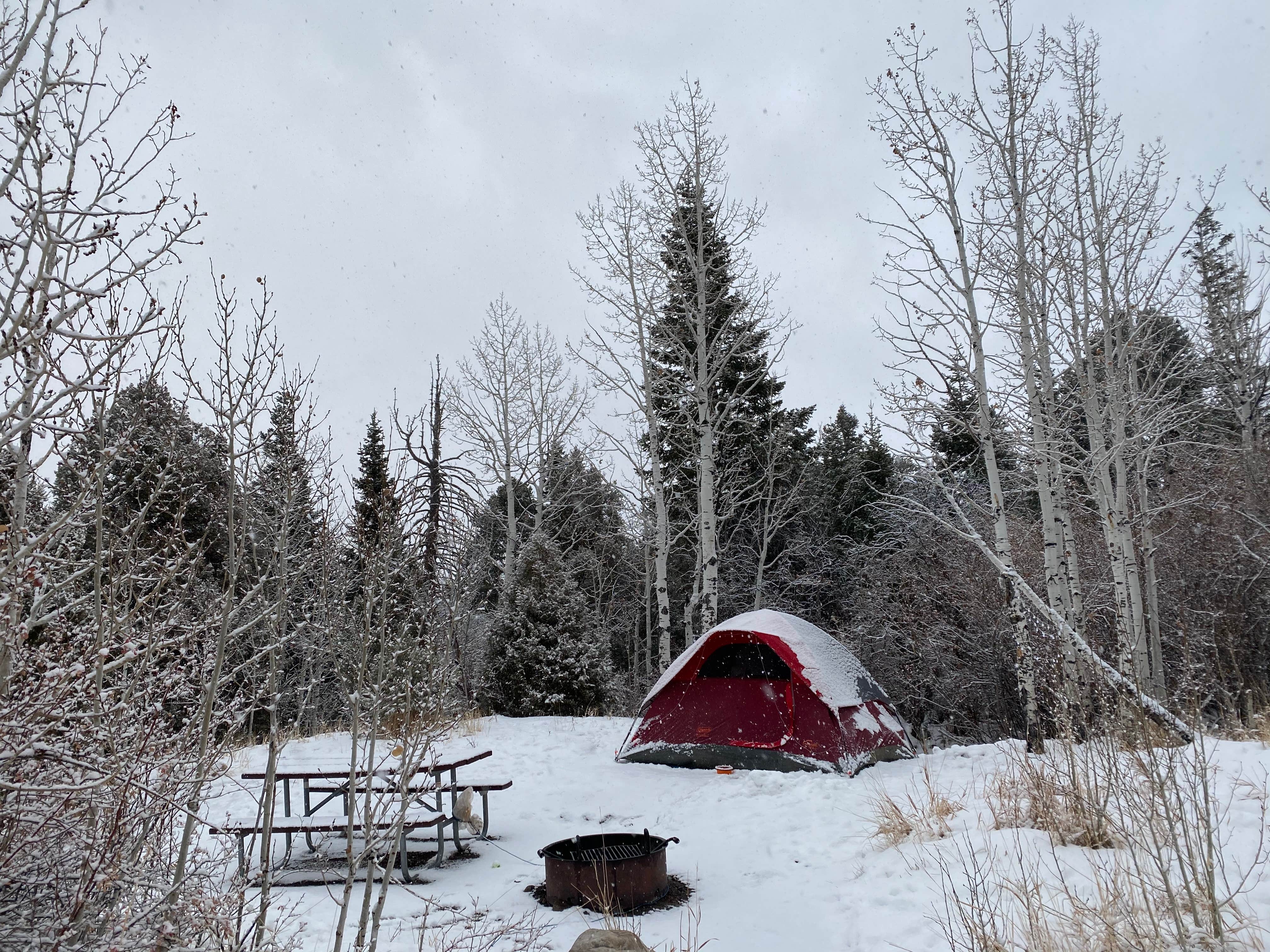 Maria D.'s photo at Lower Lehman Creek Campground — Great Basin National Park in Nevada
