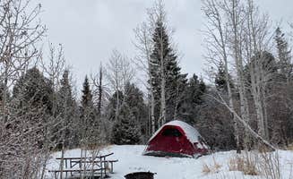Maria D.'s photo at Lower Lehman Creek Campground — Great Basin National Park in Nevada