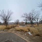 Review photo of Fruita Section Camping — Colorado River by Maria D., February 4, 2021