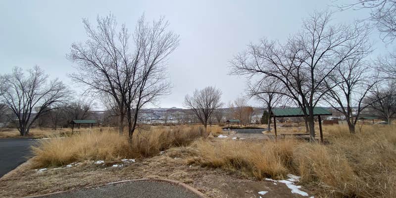 Camper submitted image from Fruita Section Camping — James M. Robb Colorado River State Park