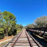 Review photo of Oscar Scherer State Park Campground by Deanna  G., February 4, 2021