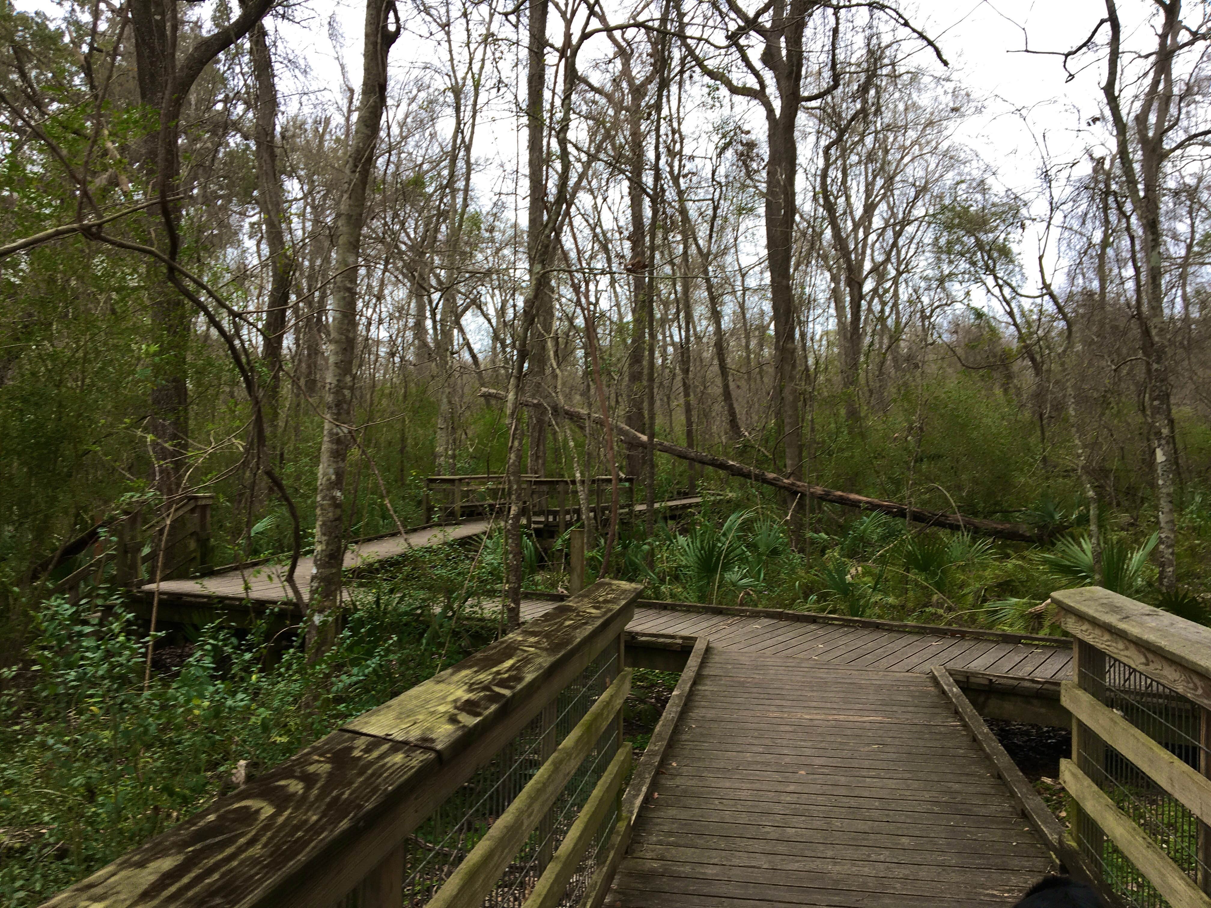 Camping near La Boulaie RV Park & Campground: Acadiana Park Campground, Lafayette, Louisiana