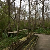 Review photo of Acadiana Park Campground by Rocco , February 4, 2021