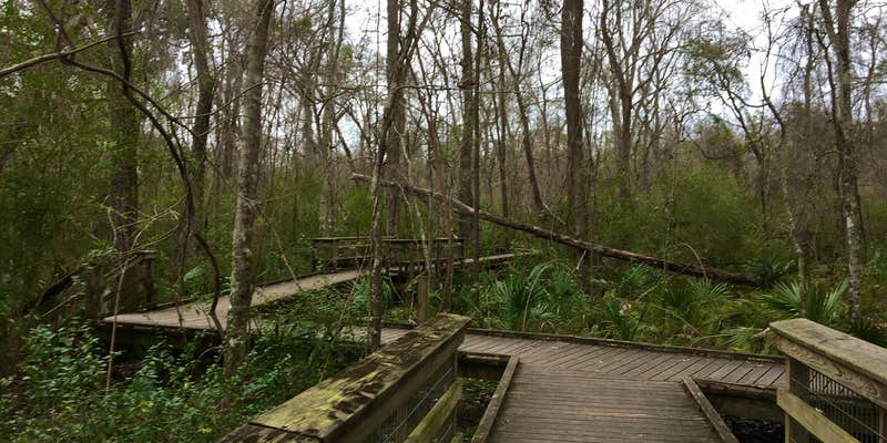 Camper submitted image from Acadiana Park Campground