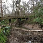 Review photo of Acadiana Park Campground by Rocco , February 4, 2021