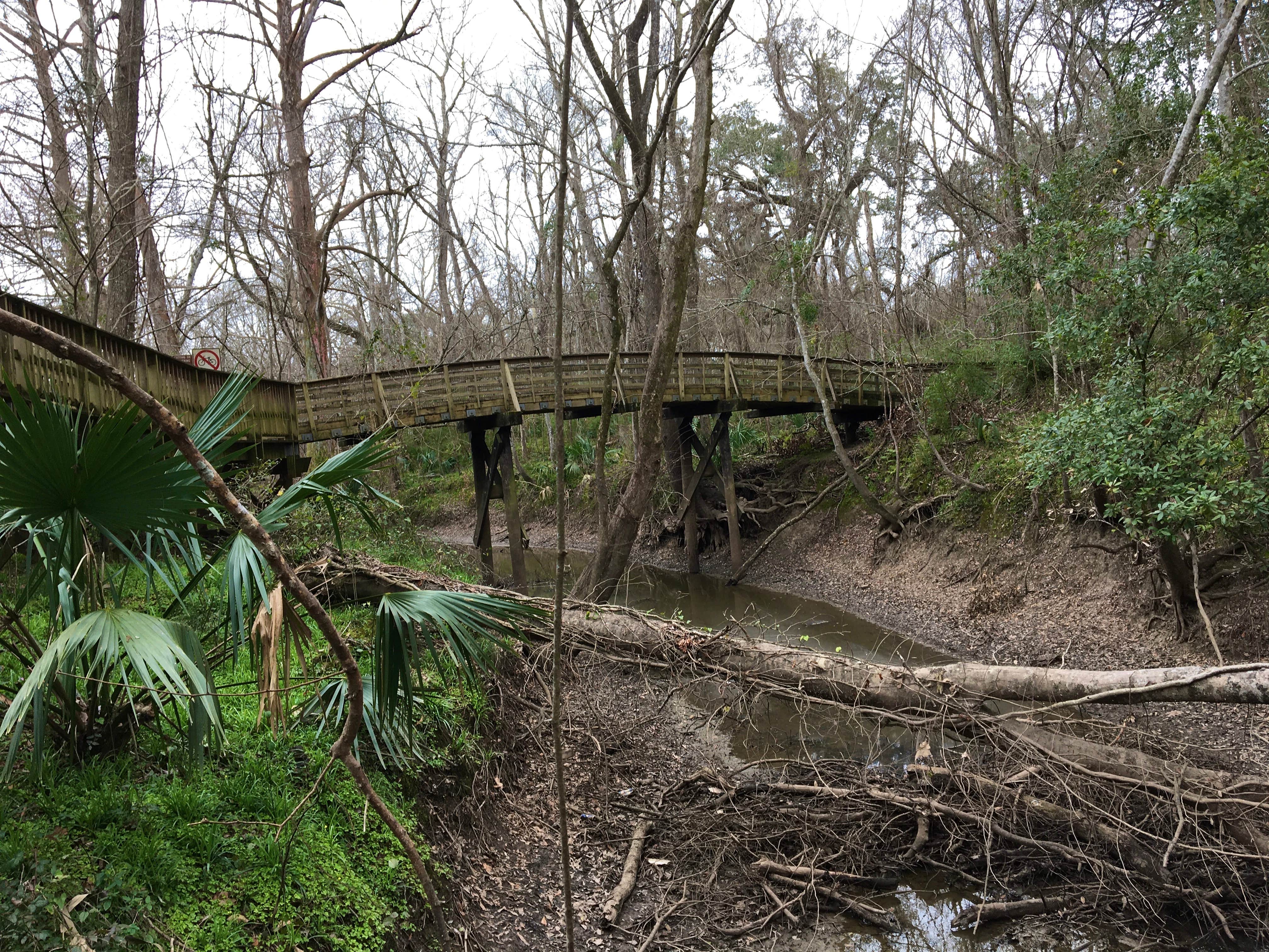 Camper submitted image from Acadiana Park Campground - 5