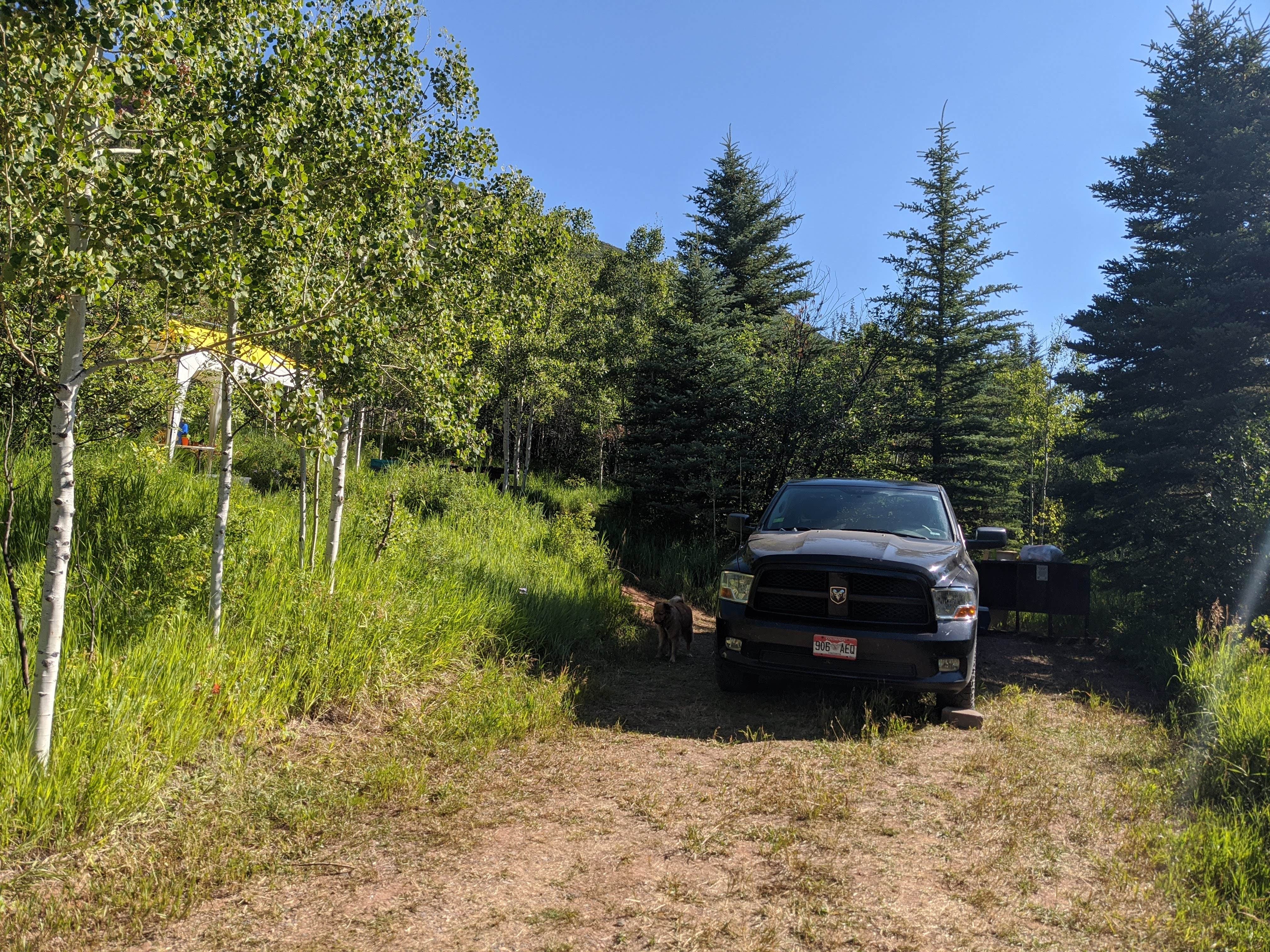 Camper-submitted photo at North Fork Campground near Glenwood Springs, CO