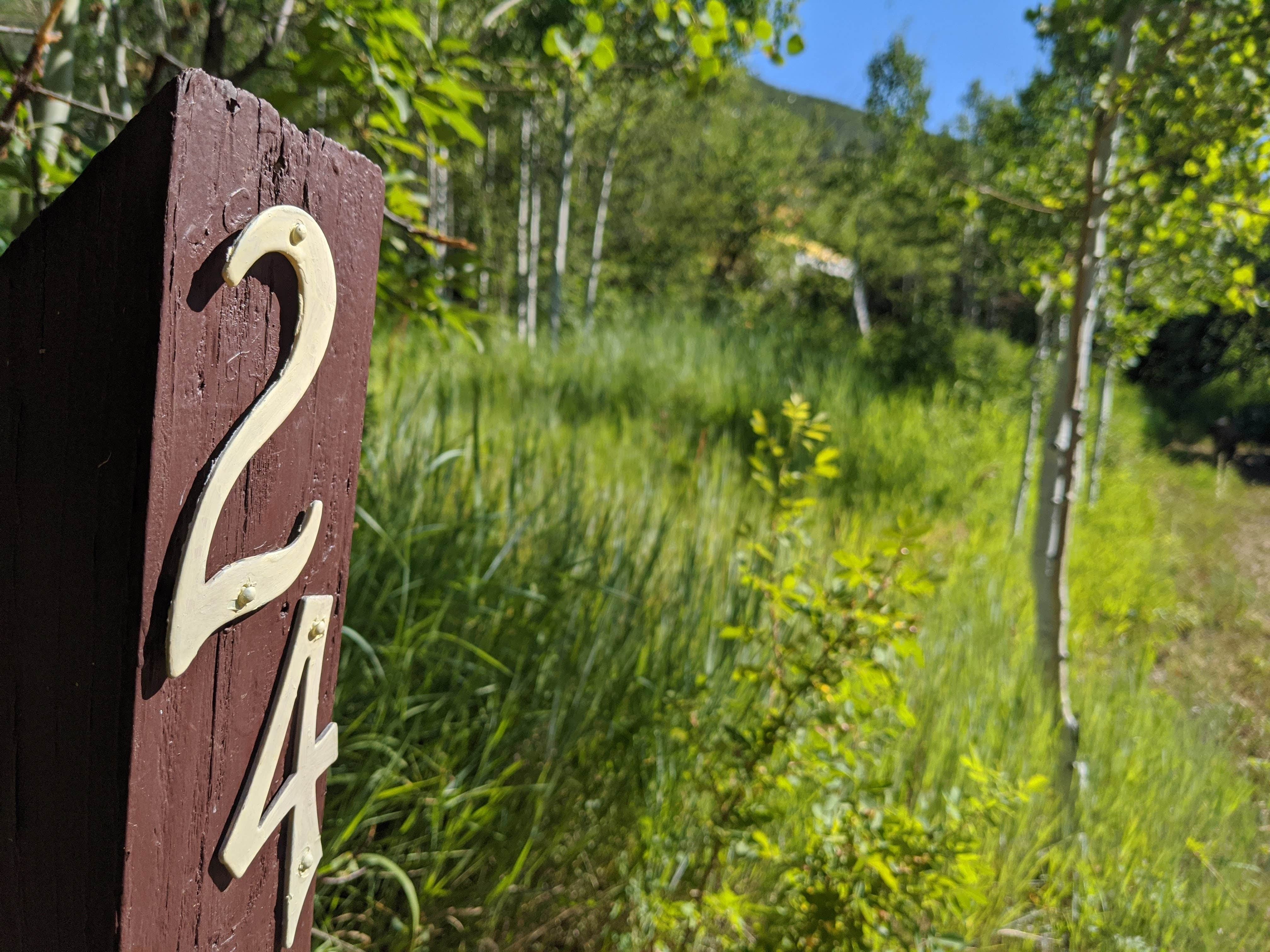 Camper-submitted photo at North Fork Campground near Glenwood Springs, CO