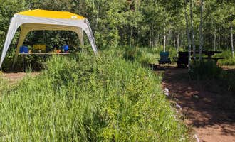 Camping near East Marvine: North Fork, Meeker, Colorado