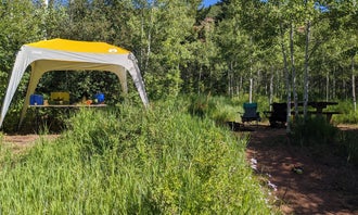 Camping near Trappers Lake Horse Thief Campground: North Fork, Meeker, Colorado