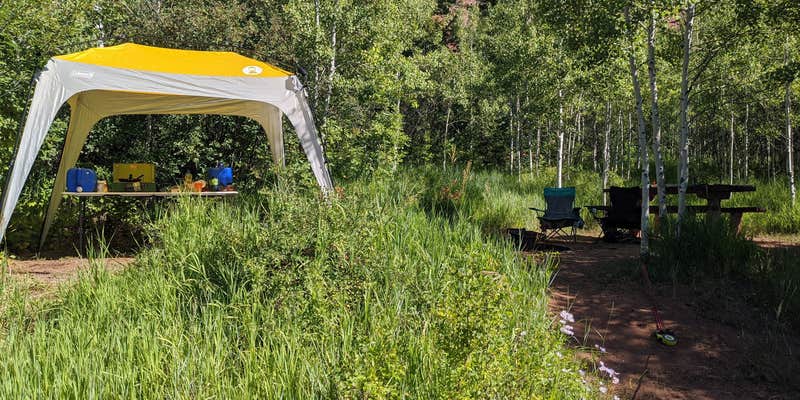 Camper submitted image from North Fork Campground