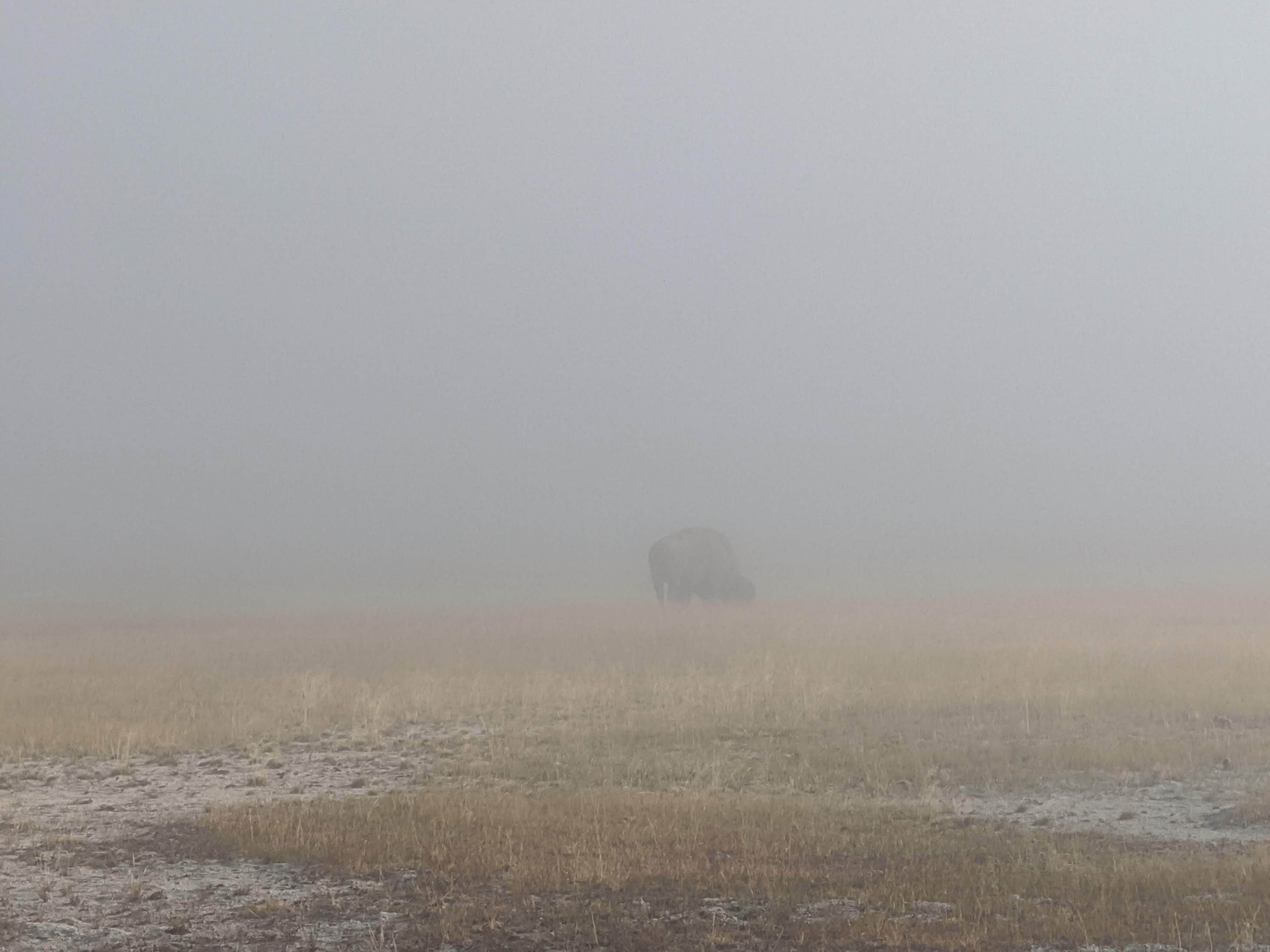 Madison Campground — Yellowstone National Park