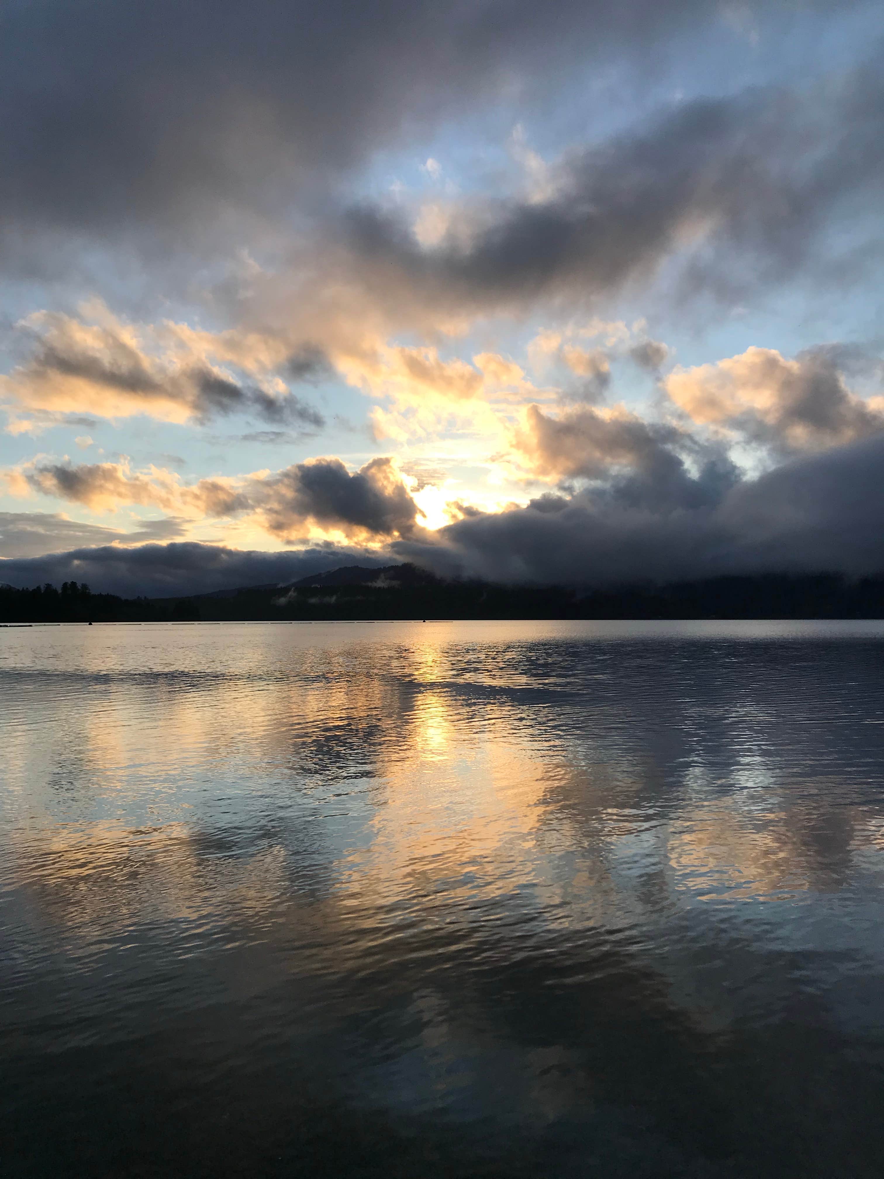 Camper-submitted photo at Willaby Campground near Westport, WA