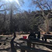 Review photo of Peppersauce Campground by Emma J., February 5, 2021