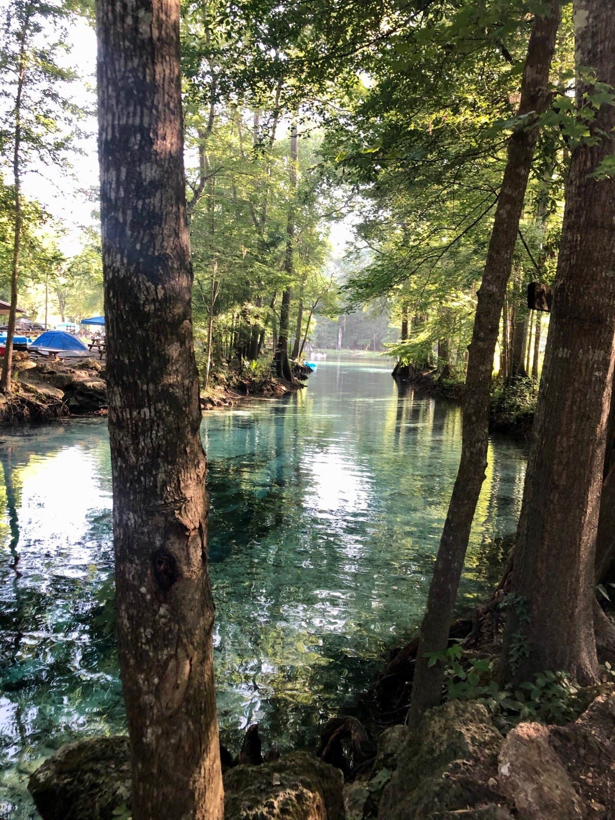 Camper-submitted photo at Ginnie Springs Outdoors near Trenton, FL