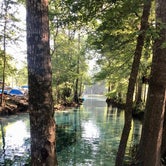 Review photo of Ginnie Springs Outdoors by Chad N., February 5, 2021