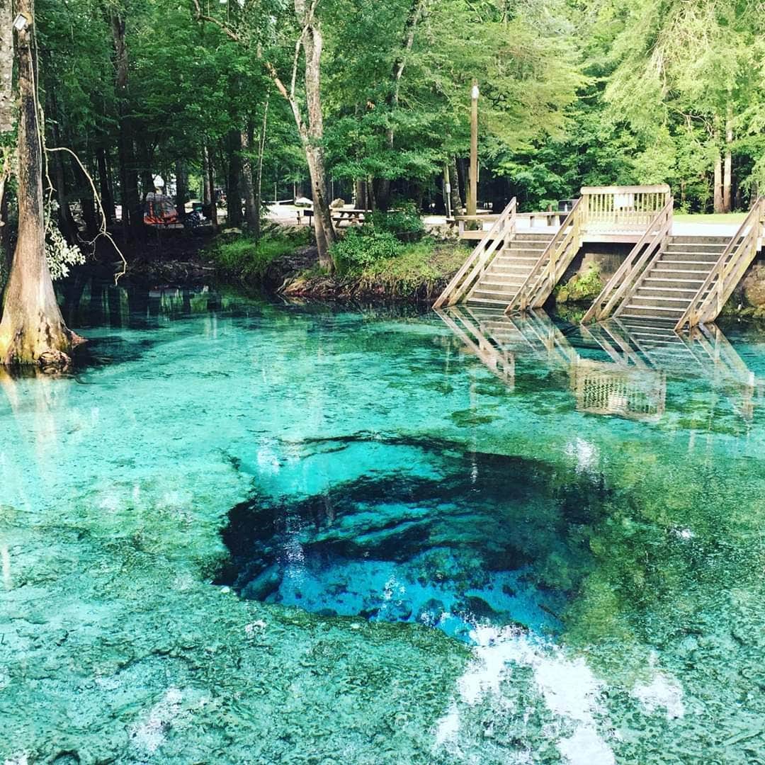 Camper-submitted photo at Ginnie Springs Outdoors near Trenton, FL