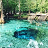 Review photo of Ginnie Springs Outdoors by Chad N., February 5, 2021