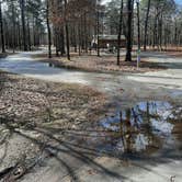 Review photo of Cane Creek State Park Campground by Steve S., September 20, 2020