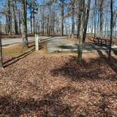 Review photo of Cane Creek State Park Campground by Steve S., September 20, 2020