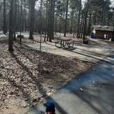 Review photo of Cane Creek State Park Campground by Steve S., September 20, 2020