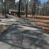 Review photo of Cane Creek State Park Campground by Steve S., September 20, 2020