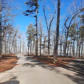 Review photo of Cane Creek State Park Campground by Steve S., September 20, 2020