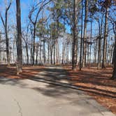 Review photo of Cane Creek State Park Campground by Steve S., September 20, 2020