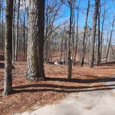 Review photo of Cane Creek State Park Campground by Steve S., September 20, 2020