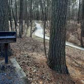 Review photo of Cane Creek State Park Campground by Steve S., September 20, 2020