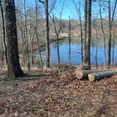 Review photo of Cane Creek State Park Campground by Steve S., September 20, 2020