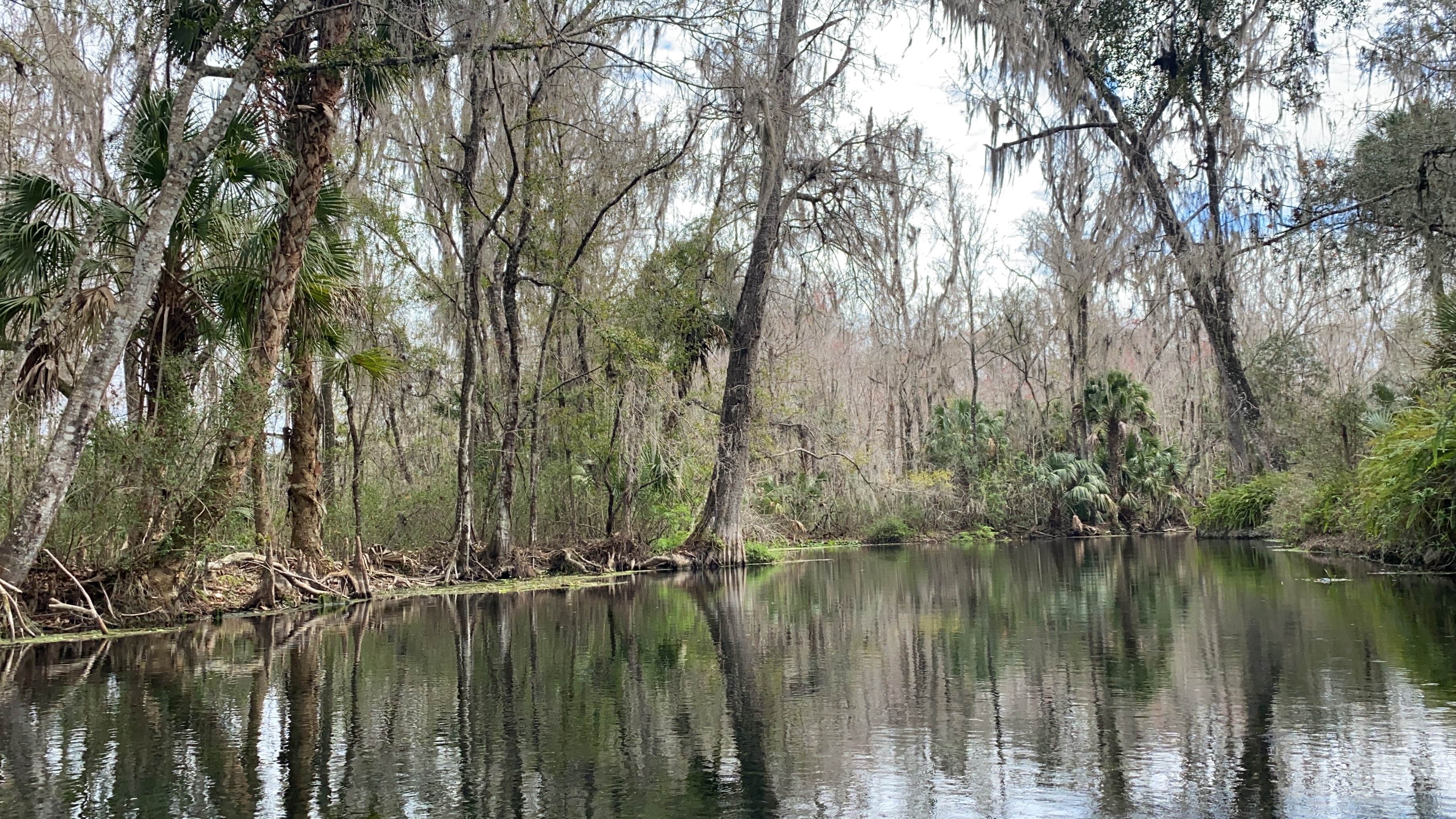 Silver Springs State Park Campground