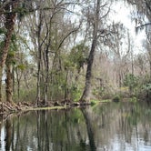 Review photo of Silver Springs State Park Campground by Kathy L., February 5, 2021