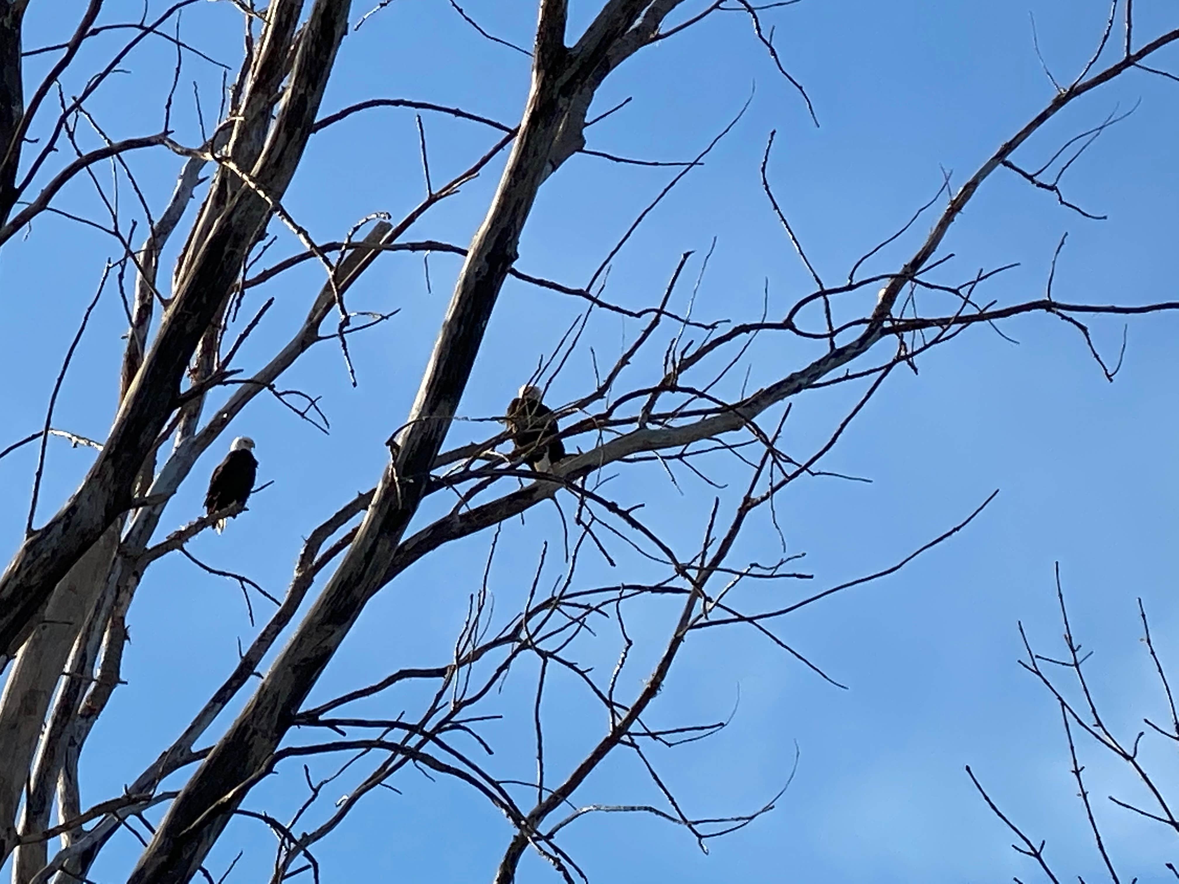 Camper-submitted photo at East Harbor State Park Campground in Ohio