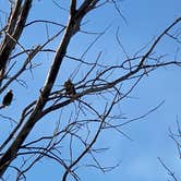 Review photo of East Harbor State Park Campground by Andrea F., February 5, 2021