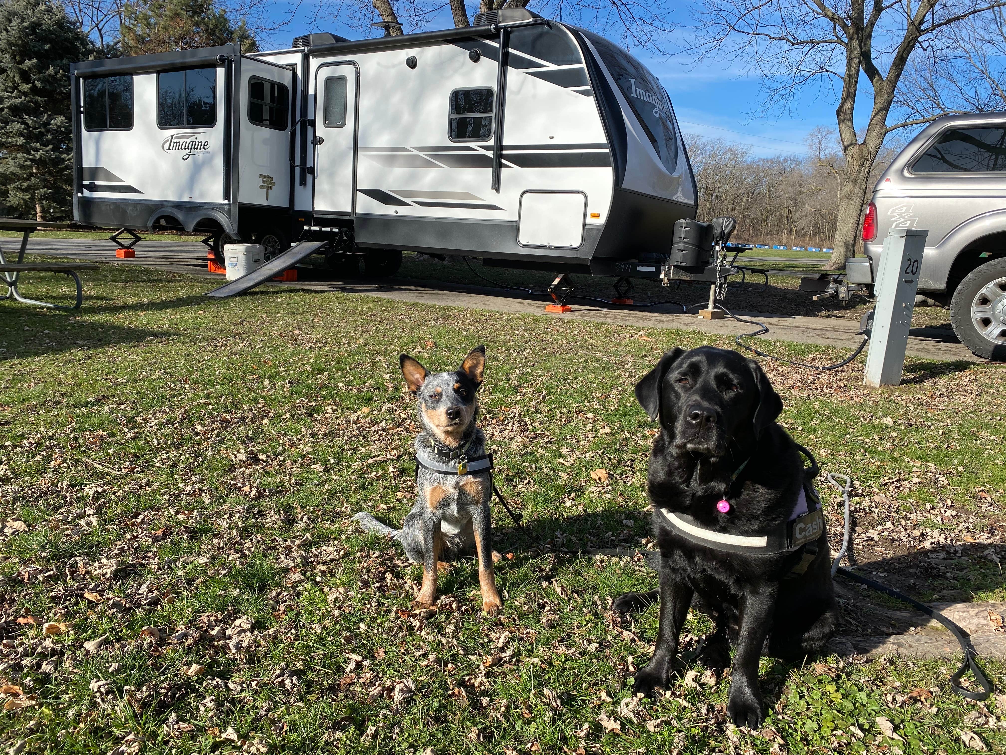 Andrea F.'s photo of camping with pets at East Harbor State Park Campground near Lorain, OH