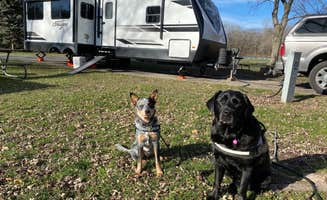 Andrea F.'s photo of camping with pets at East Harbor State Park Campground near Martin, OH
