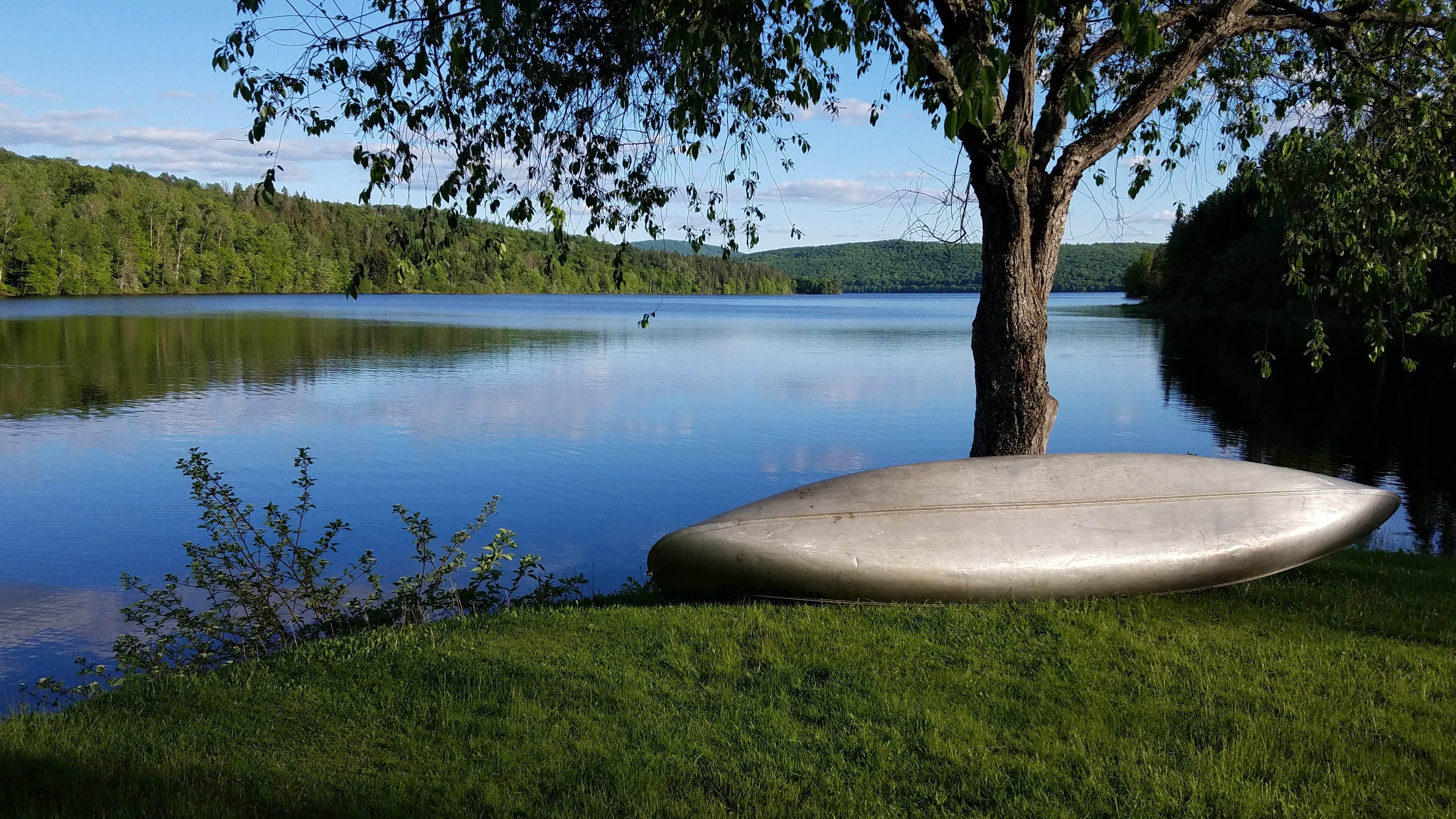 View All