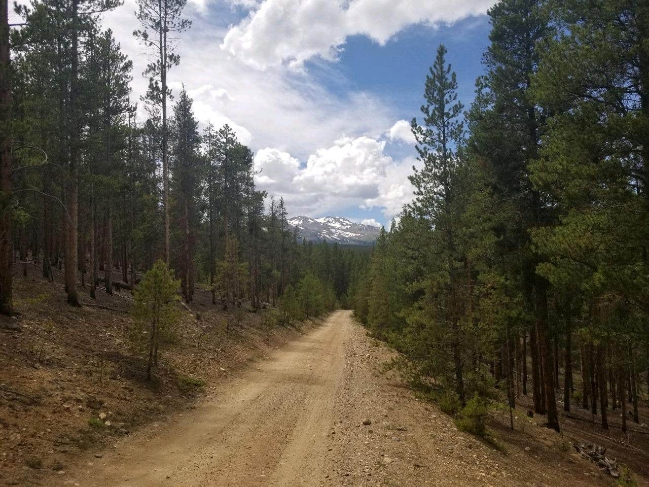 Camper-submitted photo at Forest Road 130 near Snowmass Village, CO