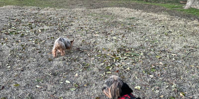 Camper submitted image from Keystone RV Park