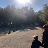 Review photo of El Cariso Campground by Chad M., February 6, 2021