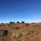 Review photo of Bierbaum Pepper Farm - Temporarily Closed by Chad M., February 6, 2021