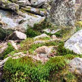 Review photo of Skyway Loop Backcountry by Asher K., May 28, 2018