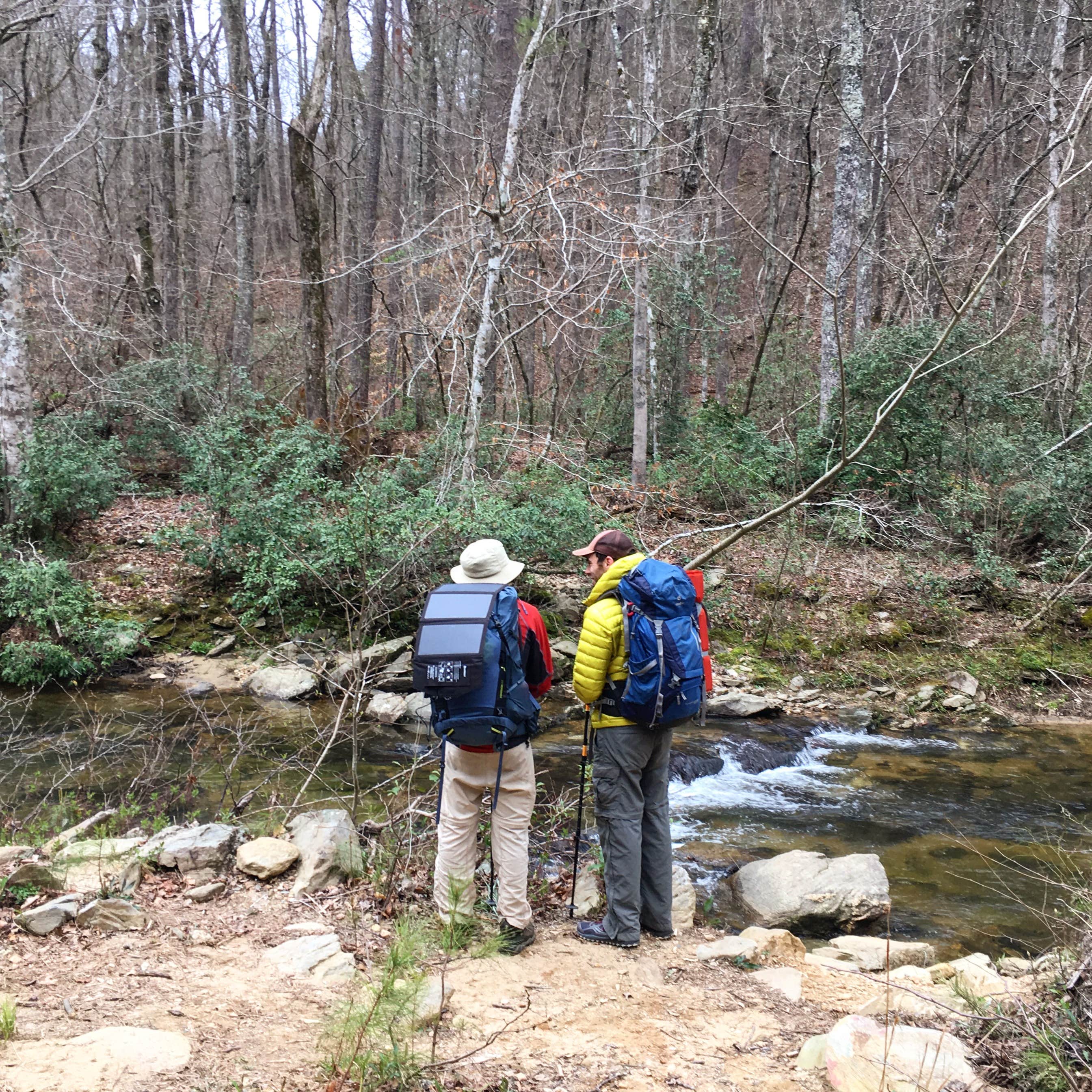 Camper submitted image from Skyway Loop Backcountry - 4