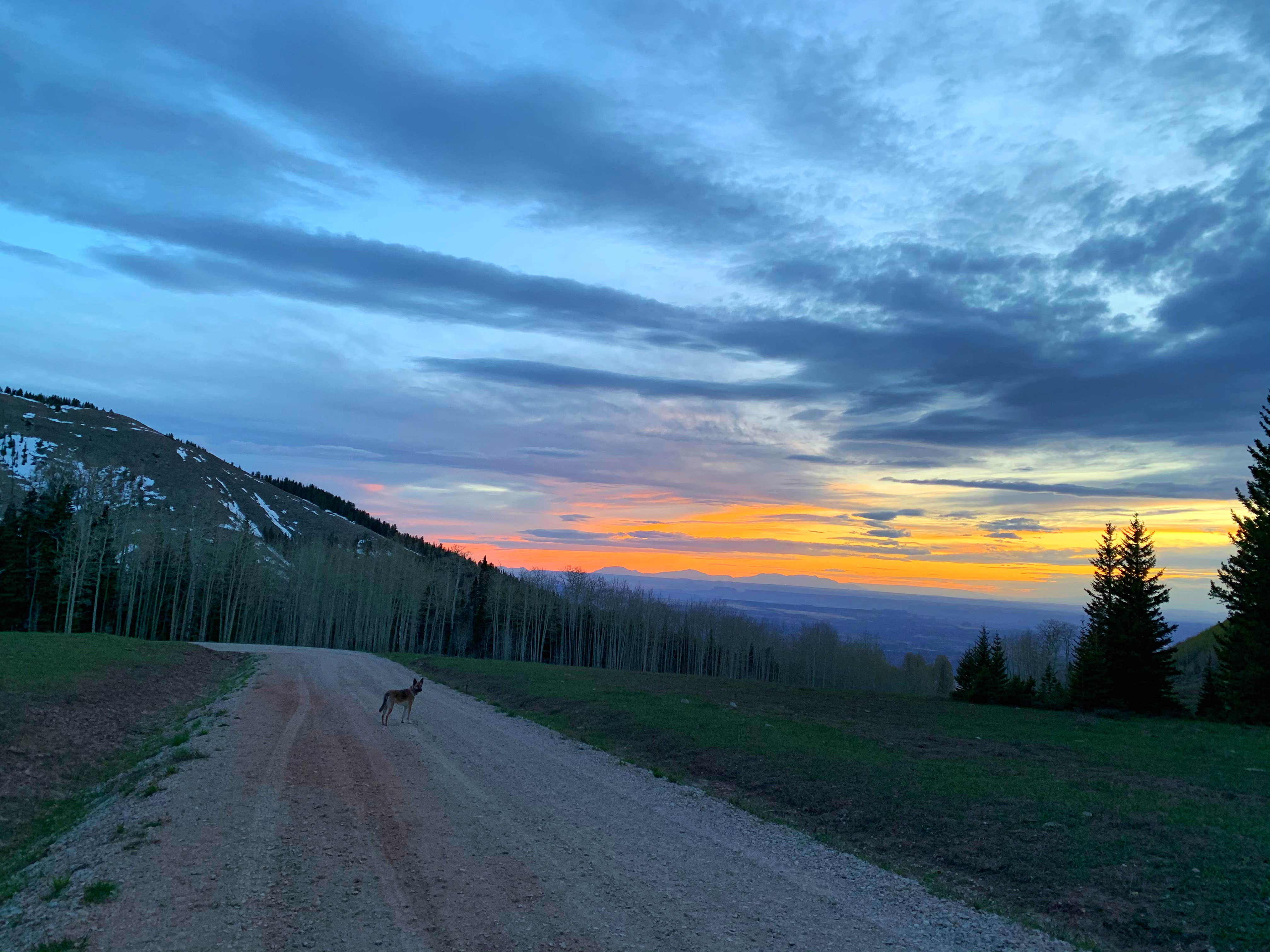 Camper submitted image from Manti-LaSal National Forest Oowah Lake Campground - 5