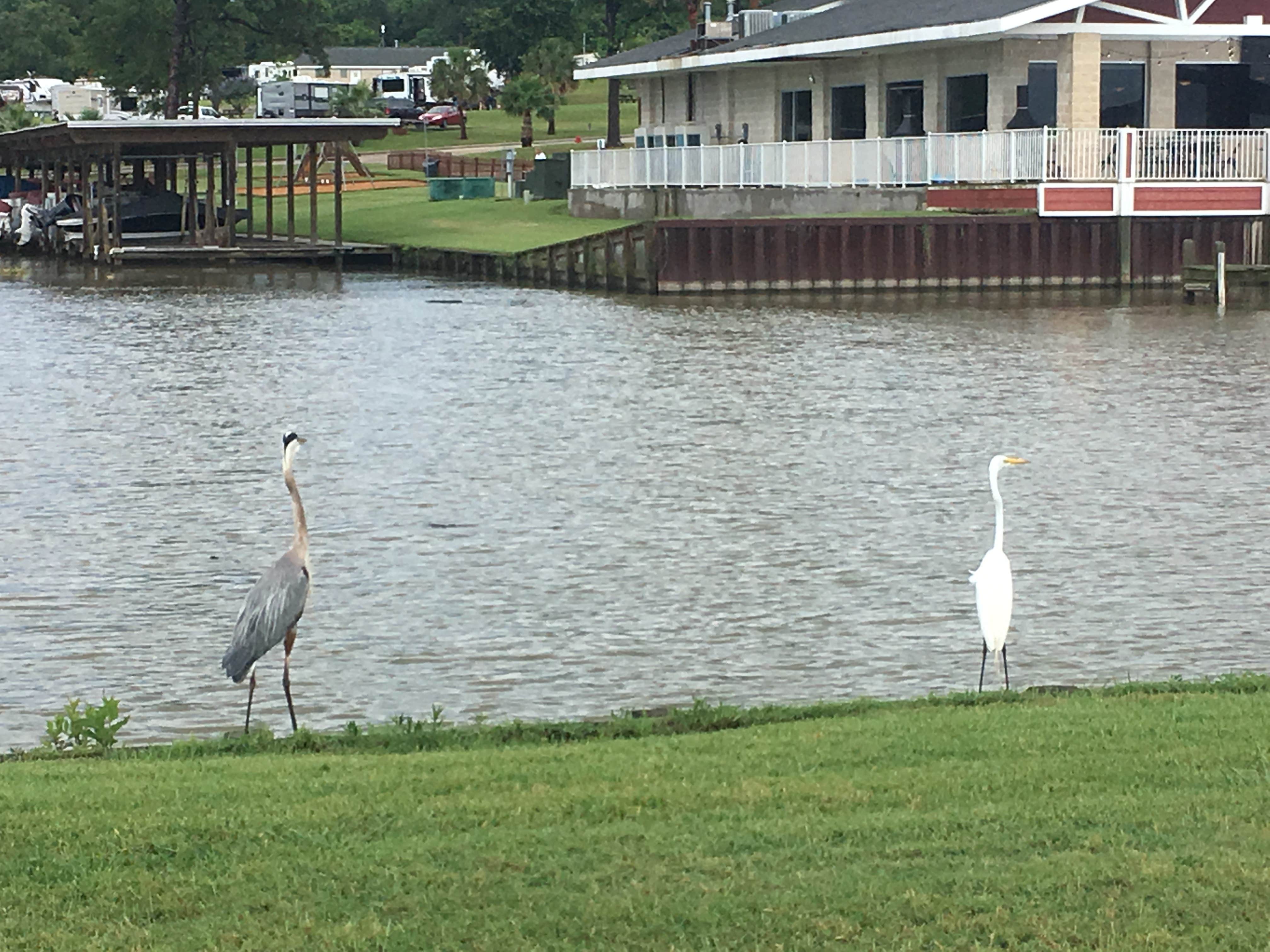 Camper-submitted photo at On The Lake RV Resort near Dodge, TX