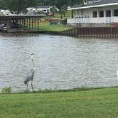 Review photo of On The Lake RV Resort by Debbie J., February 7, 2021