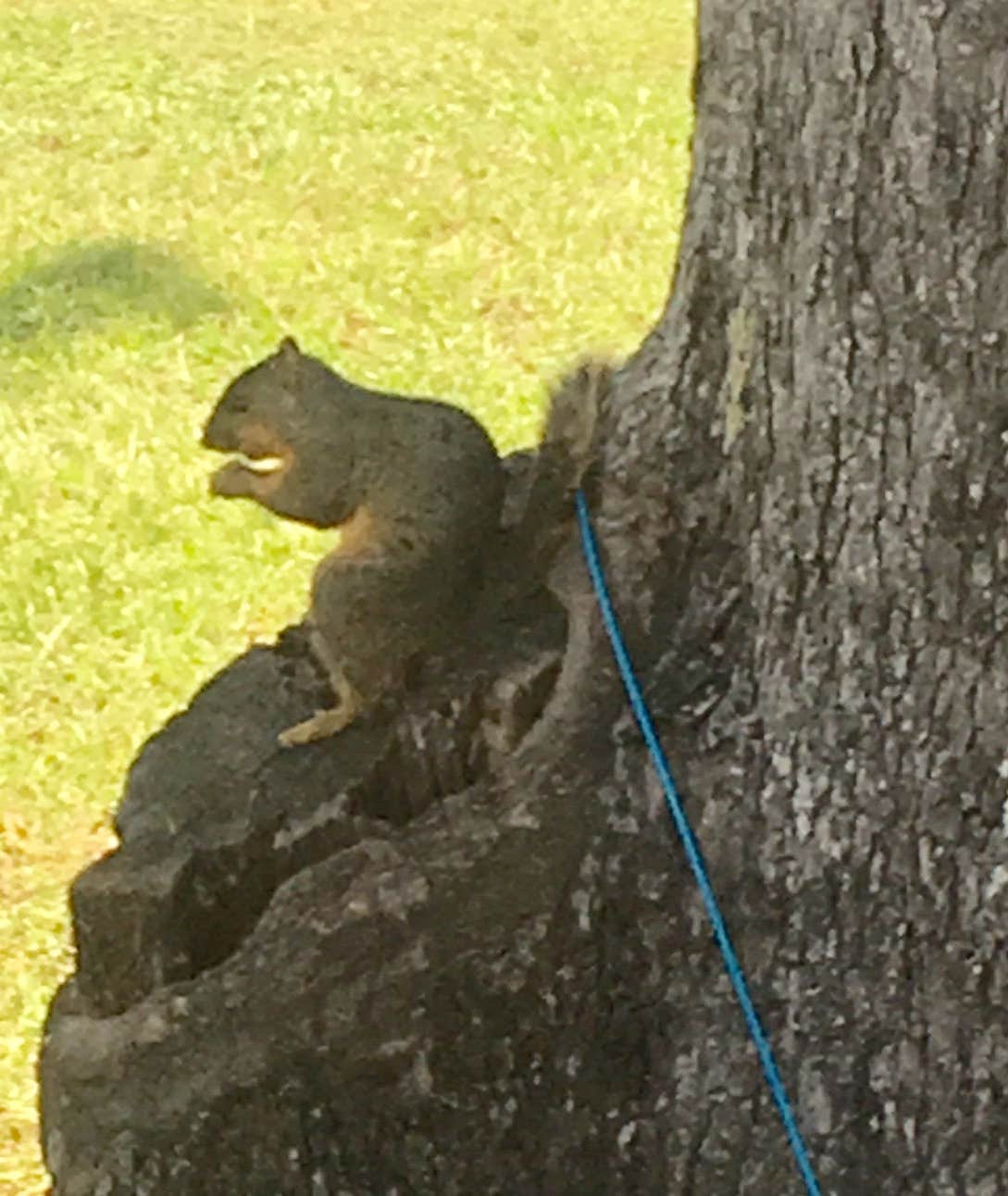 Camping near Harbor Point Resort: On The Lake RV Resort, Livingston, Texas