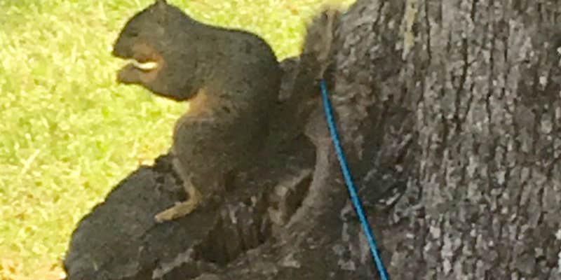 Camper submitted image from On The Lake RV Resort